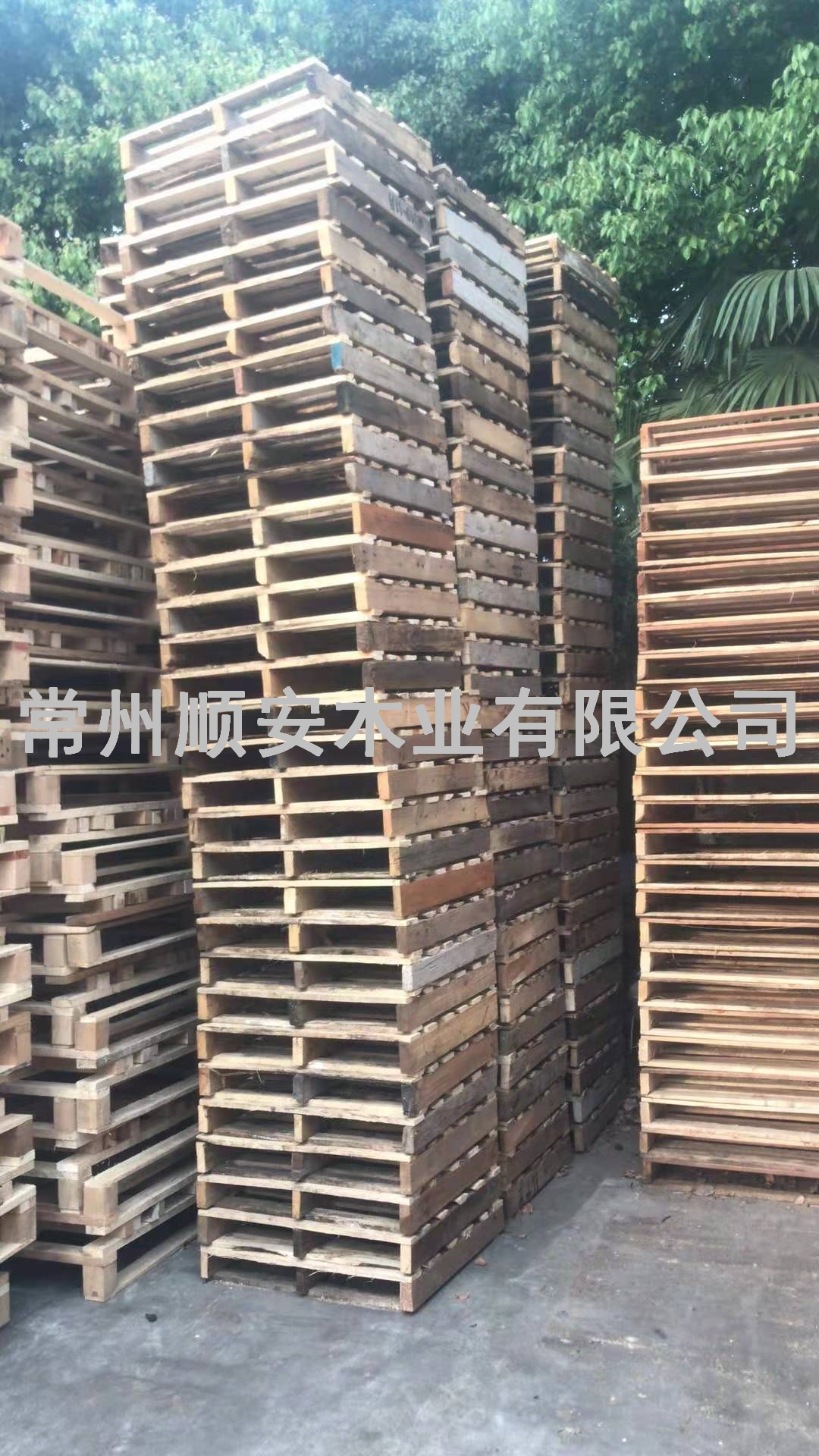 簡(jiǎn)易小托盤